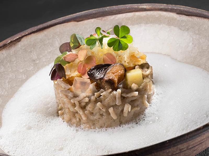 Michelin Star Restaurant St Martin de Belleville